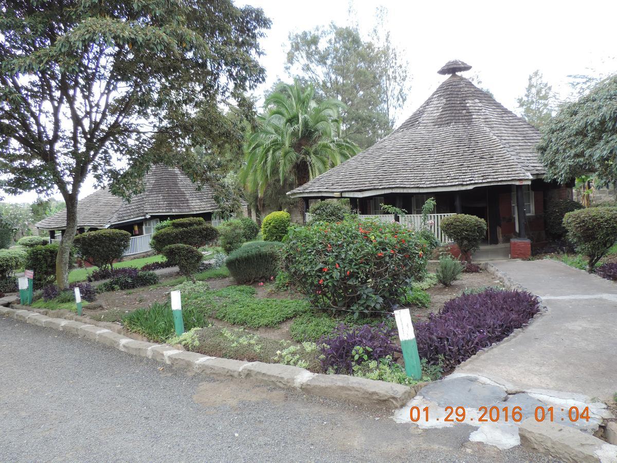 Lions Court Lodge Nanyuki Exterior foto