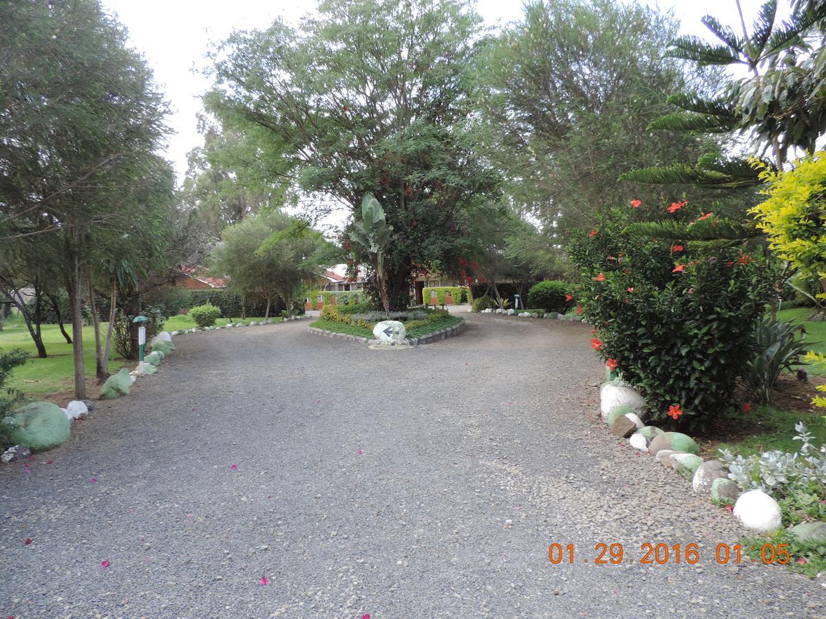 Lions Court Lodge Nanyuki Exterior foto