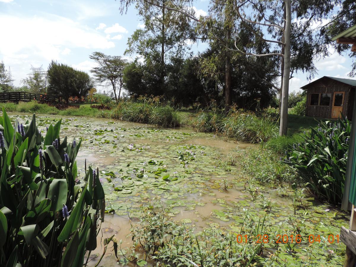 Lions Court Lodge Nanyuki Exterior foto